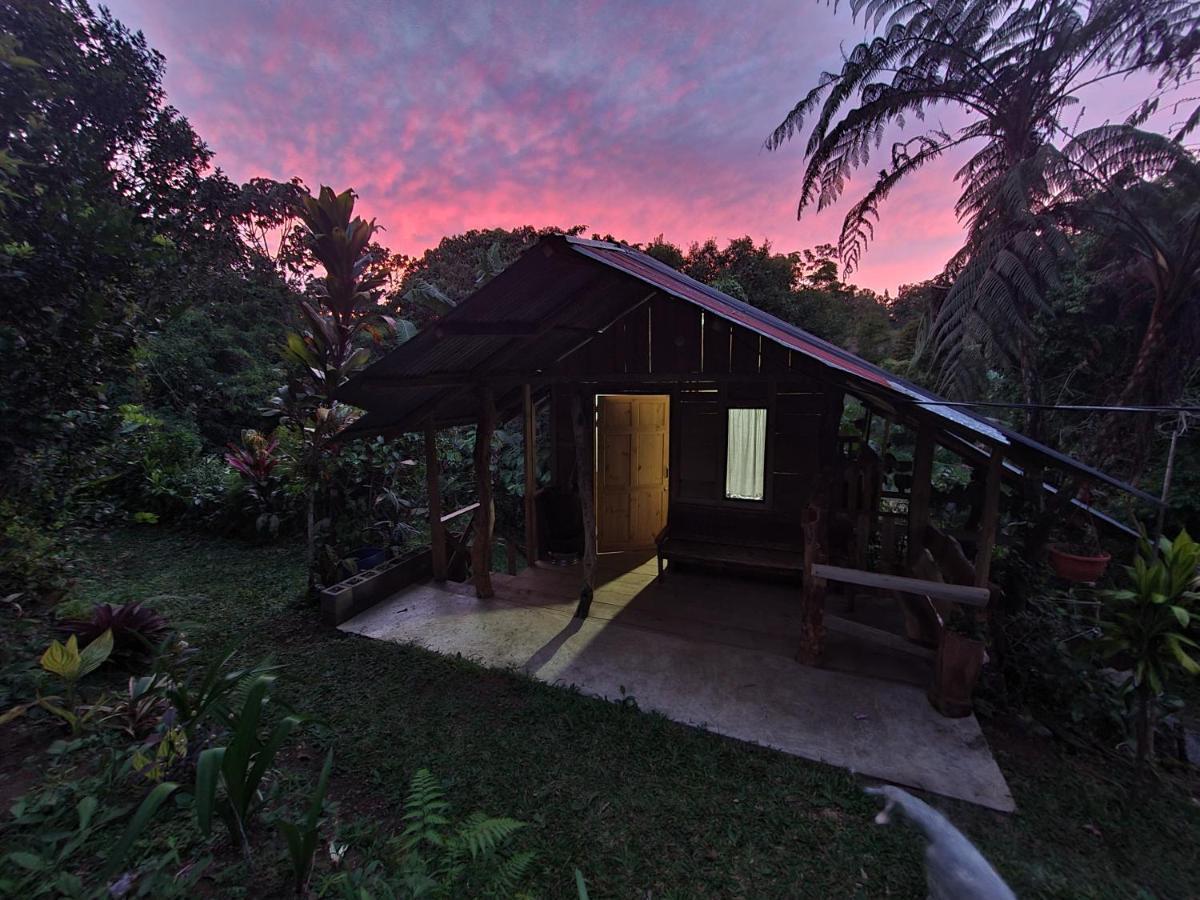 Cabana Maquique - San Vito Villa San Ramon  Eksteriør bilde