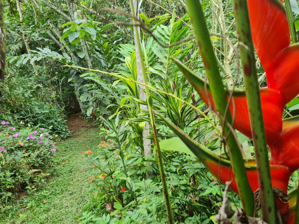 Cabana Maquique - San Vito Villa San Ramon  Eksteriør bilde