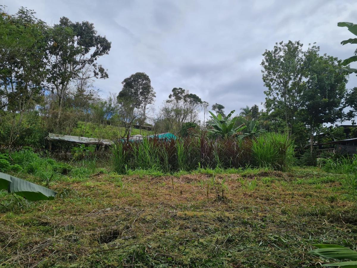 Cabana Maquique - San Vito Villa San Ramon  Eksteriør bilde