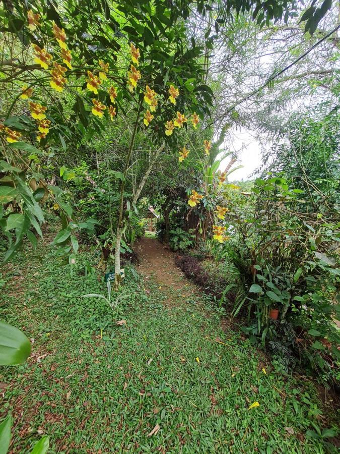 Cabana Maquique - San Vito Villa San Ramon  Eksteriør bilde
